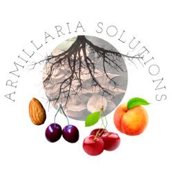 Armillaria Solutions Profile