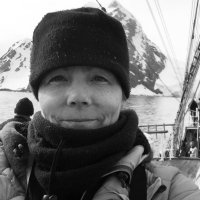 Sandy Winterbottom (@moogstuff) 's Twitter Profile
