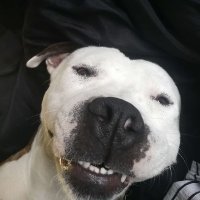 PatySim (@patysim1) 's Twitter Profile