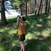Evelyn Alexander (@evelyn__alex) 's Twitter Profile