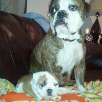 Winston Rollins (@winstonrollins) 's Twitter Profile