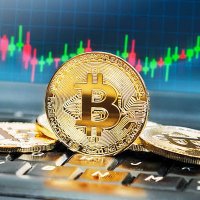 Yerimdar Canilik (@ycanilik) 's Twitter Profile Photo