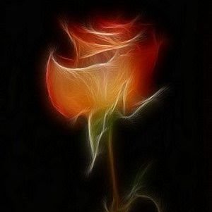 GUNAY37531043's profile picture. hic