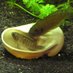 Inspired Aquariums (@inspiredaquaca) Twitter profile photo Inspired Aquariums (@inspiredaquaca) Twitter profile photo