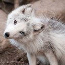 Lance Ang - @dontwannadieinc - Twitter