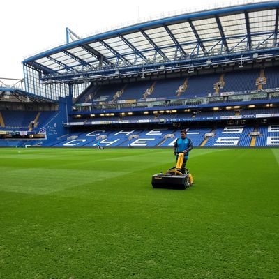 Chelsea Groundsman