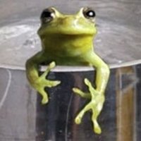 Kiki du bocage 🔻🌿🐝🐢🕊✊🪃 (@kikidubocage) 's Twitter Profile Photo