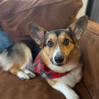 jamesflowman's profile picture. My names James and I’m sorry                      Agent of chaos