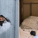 Jenna Norman - @JennaNo81225464 - Twitter