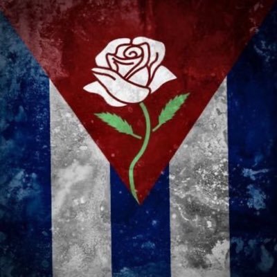 Selsa37851440's profile picture. Comer