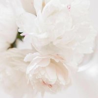 قلب داعيه/معبرة رؤى (@ammshal2) 's Twitter Profile