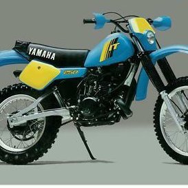 javaquesting's profile picture. Test