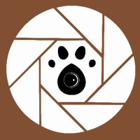 NATOURA - Wildlife Community 🐾(@natoura_io) 's Twitter Profile Photo