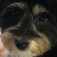 Barry mfc (@mfcbarry) 's Twitter Profile