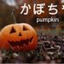 Pocket-Pumpkin (@pocket_pumpkins) Twitter profile photo Pocket-Pumpkin (@pocket_pumpkins) Twitter profile photo