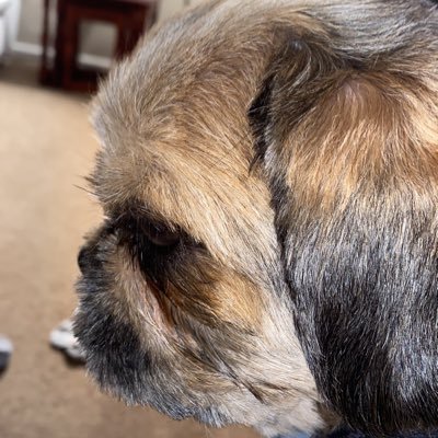 dudleymum66's profile picture. Labour 🌹Nanny ❤️