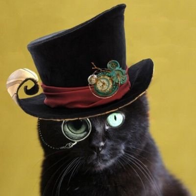 ViViVoo13's profile picture. #BetoForTexas  🍀🍀                               🇺🇸 MAGA is a mental illness
🌊 #Resist
⚖️ I have faith in Merrick Garland