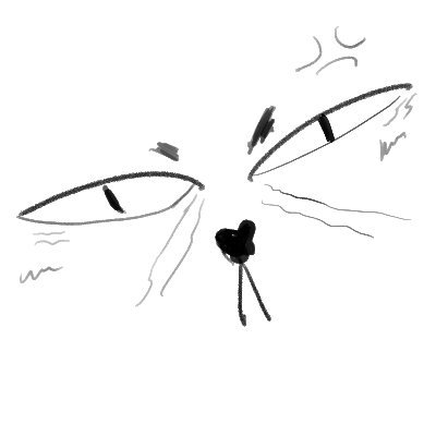 🐾さんのプロフィール画像