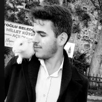 Ramazan Gün (@ramazangunn07) 's Twitter Profile