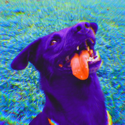 mrJens's profile picture. I am who I am…