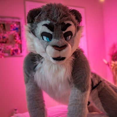 S_Lion_AD's profile picture. Friends/mutuals only | Will accept for people I know or request first | SFW @SterlingTheLion | Bi | Vers | 26 | contains nudes 🔞 | Bred by @milwolf_ad 🥵