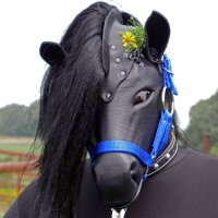 Pony Blue(@RubberPonyBlue) 's Twitter Profile Photo