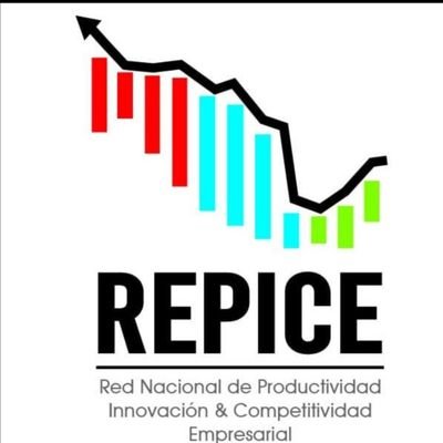 Repice_mx Profile Picture