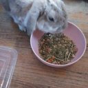 Allen Scott Ruffner - @scottruffner27 - Twitter