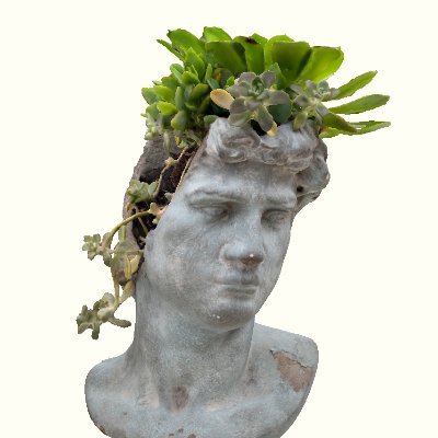 #Photogrammetry of Statues, Places, Monuments, Succulents, and some miscellaneous scans.