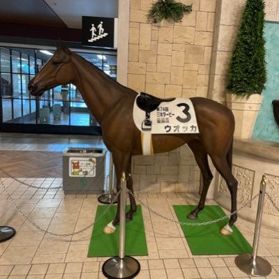 20↑ 2021/5/2の天皇賞・春から競馬を見始めました