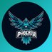 Phoenix Reborn (@phoenixreborngg) Twitter profile photo Phoenix Reborn (@phoenixreborngg) Twitter profile photo