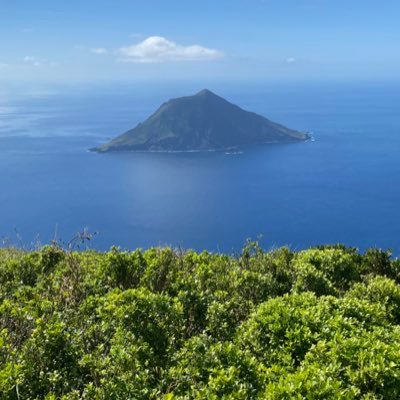 離島からリモートワーク中。島と旅が好き。ツイッター初心者