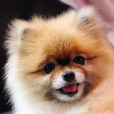 Mewmademineday's profile picture. Mew Suppasit 💛 @MSuppasit #MewSuppasit