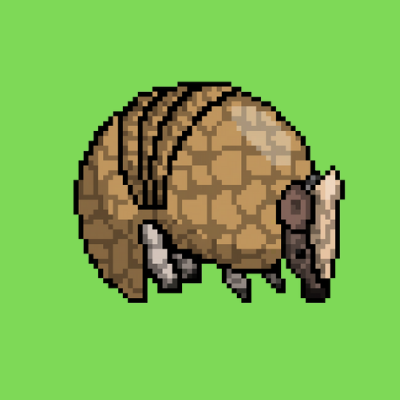 A group of armadillos on #Solana. Aiming to help the animals at risk.🇧🇷 Join our Comunity 👉 https://t.co/Q3qsVoDbcp