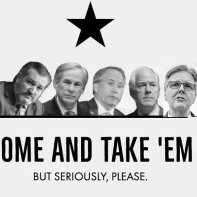 TexasDemocracy Profile Picture