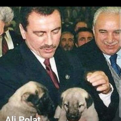 Visit Mehmet HAKVERDİ Profile