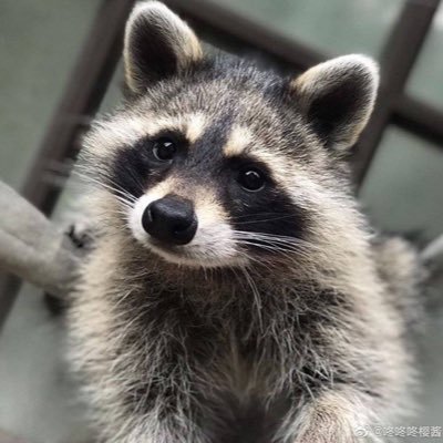 NuNamIさんのプロフィール画像