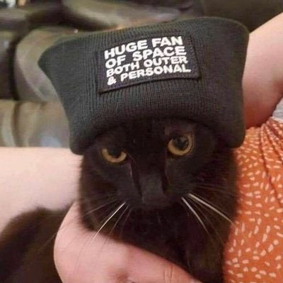 OracleseOrion's profile picture. I think too hard, and I don't have fun with it.