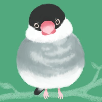 Padda | Java Sparrow