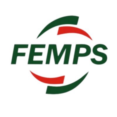 Rice & Dhall mill- Elevator - Conveyor - Sheet Fabricator 

FEMPS Grain Handling application