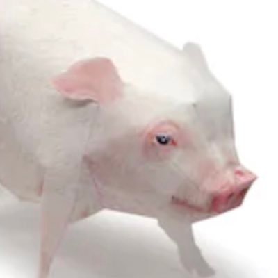 check out my account