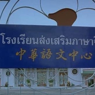 noassum's profile picture. 