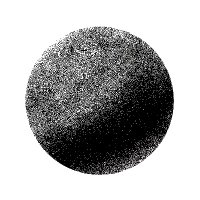 shareware (@sharewarenft) 's Twitter Profile