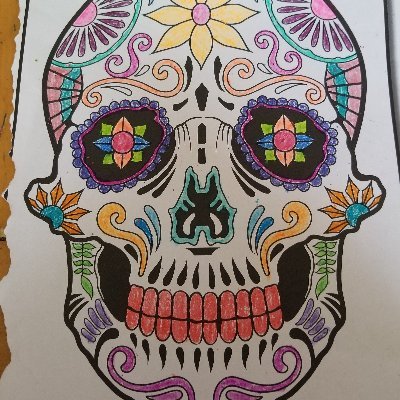 LisaS82641015's profile picture. 