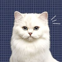 few rag6 (@ragfew) 's Twitter Profile