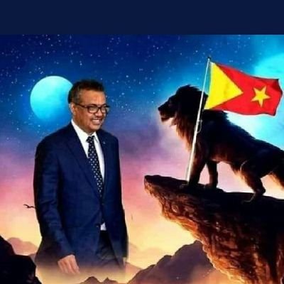 BriGalTigray1's profile picture. Bri Gal Tigray💊⛱