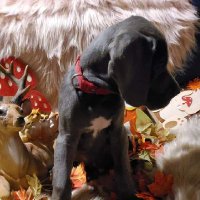 Jessica Schröter (@jessi_schroter) 's Twitter Profile