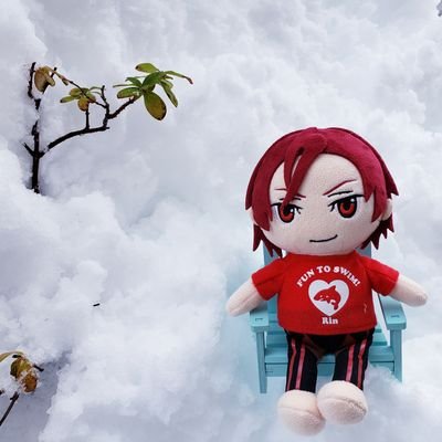 nononmoke's profile picture. 20↑ヒプマイにはまって毎日が楽しい！
キンプリありがとう！！プリズムショーは心の煌めき！！！
ルルーシュと凛ちゃんと謙也さんはずっと大好き！！