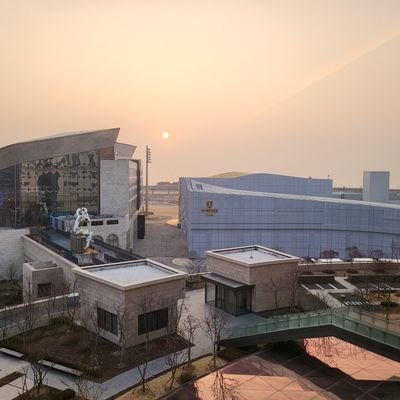 bishooho's profile picture. shoo