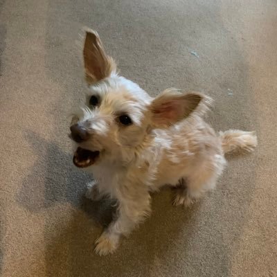 dora_donna's profile picture. 